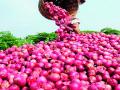 लाल कांदा दरात ५५० रूपयांची घसरण - Marathi News |  Red onion prices fall by Rs | Latest nashik News at Lokmat.com