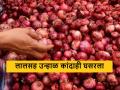 Onion Market : लालसह उन्हाळ कांदाही घसरला, राज्यातील बाजार समित्यांत काय भाव मिळाला?  - Marathi News | Latest news 06 april 2024 todays onion market price in maharashtra market yards | Latest agriculture News at Lokmat.com