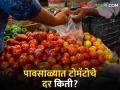 Tomato Rates Today : पावसाळ्यात टोमॅटोचे दर वाढले! किती मिळतोय दर? - Marathi News | Tomato Rates Today: What is the rate of tomato in monsoon season? | Latest agriculture News at Lokmat.com
