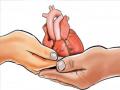World organ donation day: मृत्यूचा उत्सव साजरा करण्यातही कोल्हापूरकरांचा पुढाकार - Marathi News | World Organ Donation Day: Kolhapur city is moving towards becoming a center for organ donation awareness | Latest kolhapur News at Lokmat.com
