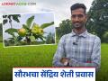 Organic Farming : सेंद्रिय शेतीचा पुरस्कार करणारा सौरभ ठरला 'ऑर्गेनिक हीरो' - Marathi News | latest news Organic Farming: Saurabh, who championed organic farming, became an 'Organic Hero', learn about his success story in detail | Latest agriculture News at Lokmat.com