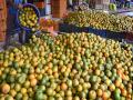 मार्केटयार्ड फळबाजारात नागपूर संत्र्याची आवक सुरू - Marathi News | pune news nagpur oranges begin arriving at Market Yard Fruit Market | Latest pune News at Lokmat.com