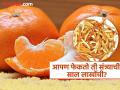 संत्र्याची वाळलेली साल विकून कोट्याधीश बनत आहेत लोक, एका किलोची किंमत वाचून येईल चक्कर - Marathi News | People becoming millionaire selling dry orange peel, know how much is a price | Latest jarahatke News at Lokmat.com