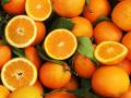 दुष्काळी ब्राझीलमध्ये संत्री बहरतात, भारताचे घोडे कुठे अडले? - Marathi News | Oranges bloom in drought-stricken Brazil, where are India's horses stuck? | Latest editorial News at Lokmat.com