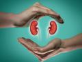 दाेन किडनी, यकृताचे दान; अवयवदानाने वाचवले तीन जणांचे प्राण - Marathi News | Donate kidney liver donation Organ donation saved three lives | Latest pune News at Lokmat.com