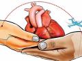 मानवी अवयव दान; आरोग्य विभागामार्फत जनजागृती - Marathi News | Human organ donation; Public awareness through health department | Latest vashim News at Lokmat.com