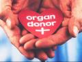 अवयवदान श्रेष्ठदान - Marathi News | Organ donation | Latest solapur News at Lokmat.com