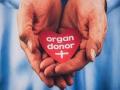 मृत्यूनंतरही त्यांचे हृदय धडधडते!, कोल्हापुरात अवयवदान चळवळीला मिळतंय बळ - Marathi News | Organ donation movement is gaining strength in Kolhapur | Latest kolhapur News at Lokmat.com