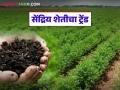 Organic Farming : सेंद्रिय शेतीचा ट्रेंड वाढतोय; राज्यात हजारो शेतकरी नैसर्गिक शेतीकडे वळले - Marathi News | | Latest agriculture News at Lokmat.com
