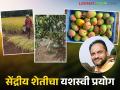 शेतमालाची उत्पादकता, दर्जा, चव यामध्ये सकारात्मक बदल करणारी धनंजय यांची सेंद्रीय शेती; वाचा सविस्तर - Marathi News | Dhananjay's organic farming has brought positive changes in the productivity, quality and taste of agricultural produce; Read in detail | Latest agriculture News at Lokmat.com