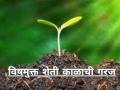 विषमुक्त शेती काळाची गरज, पर्यावरण तज्ञ प्राची माहुरकर यांचं मत - Marathi News | Latest News Organic farming alternative to chemical farming says parchi mahurkar in agri festival | Latest agriculture News at Lokmat.com