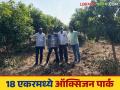 Agriculture News : 14 एकर शेतात कसं उभं राहिलं ऑक्सिजन पार्क, जाणून घ्या सविस्तर  - Marathi News | Latest News Agriculture News How an oxygen park was built on 14-acre field, know in detail | Latest agriculture News at Lokmat.com