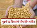 Soyabean Market : एप्रिल महिन्यात पुढचे 15 दिवस सोयाबीनचे दर काय राहतील, वाचा सविस्तर  - Marathi News | Latest News Soyabean market What will be soybean prices for next 15 days in April, read in detail | Latest agriculture News at Lokmat.com