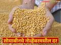 Soyabean Market : नोव्हेंबर 2025 मध्ये सोयाबीनचे दर कसे राहतील, जाणून घ्या सविस्तर  - Marathi News | Latest News Soyabean Market Know in detail how soybean prices will be in November 2025 | Latest agriculture News at Lokmat.com