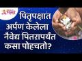 पितृपक्षात अर्पण केलेला नैवेद्य पितरापर्यंत कसा पोहचतो? Lokmat Bhakti - Marathi News | How does the offering made to the patriarch reach the patriarch? Lokmat Bhakti | Latest bhakti Videos at Lokmat.com