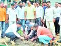 पाचोरा येथे युवकांनी केले ३०० वृक्षांचे रोपण - Marathi News | Youth planted 2 trees in Panchora | Latest jalgaon News at Lokmat.com