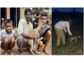 अखेर ताटातूट संपली, हरिणी आली अन् पाडसाला घेऊन गेली..! - Marathi News | a farmer rescued a deer fawn from dog attack, forest department release him to forest | Latest bhandara News at Lokmat.com