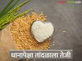 बाजारात तांदूळ विकतोय ८० रुपये किलोने; शेतकऱ्यांकडून खरेदी मात्र २३ रुपये किलोने - Marathi News | Rice is being sold in the market at Rs 80 per kg; but is being purchased from farmers at Rs 23 per kg | Latest agriculture News at Lokmat.com