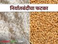 गहू, तांदूळ उत्पादक शेतकऱ्यांनाही बसतोय निर्यातबंदीचा फटका - Marathi News | Farmers producing wheat and rice are also affected by the export ban | Latest agriculture News at Lokmat.com