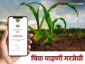 E-Pik Pahani: विमा, नुकसान भरपाई हवी तर करा पीक पेरा नोंदणी - Marathi News | If you want crop insurance, compensation, register the crop survey e pik pahani | Latest agriculture News at Lokmat.com