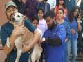 पलावा सिटी मध्ये 330 भटक्या श्वानांना दिली अँटी रेबीज ची लस - Marathi News | 330 stray dogs given anti-rabies vaccine in Palava City | Latest kalyan-dombivli News at Lokmat.com