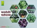 Vegetable Farming : उन्हाळ्यात हिरव्या पालेभाज्यांची फायदेशीर शेती, 45 रुपयांत मिळतेय बियाणे, असे करा ऑर्डर - Marathi News | Latest news Vegetable Farming Sale of vegetable seeds on website of National Seed Corporation | Latest agriculture News at Lokmat.com