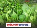हिरव्या पालेभाज्या खाणे खरोखरच आरोग्यासाठी फायदेशीर आहे का? वाचा सविस्तर - Marathi News | Are eating green leafy vegetables really good for health? Read in detail | Latest agriculture News at Lokmat.com