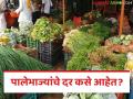 Vegetable Market : पालेभाज्यांच्या उत्पादनात घट, दरात दुप्पट वाढ, केवळ कांदा, बटाटा दर कमी, वाचा सविस्तर  - Marathi News | Latest News Decrease in production of leafy vegetables, double increase in prices, only onion, potato prices are low, read in detail | Latest agriculture News at Lokmat.com