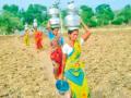 पालघर डायरी : महिलांच्या डोक्यावरचे हंडे कधी दूर होणार? - Marathi News | Palghar Diary When will the pots on women's heads be removed | Latest vasai-virar News at Lokmat.com