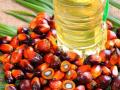 पाम तेलामुळे प्रत्येक घरात वापरल्या जाणाऱ्या 'या' उत्पादनांच्या किमती झपाट्याने वाढणार! - Marathi News | inflation will continue the price of these products used in every household will increase rapidly in palm oil | Latest business News at Lokmat.com