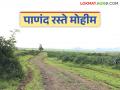 महसूल विभाग १७ ते २२ सप्टेंबरमध्ये शेतरस्त्यासाठी विशेष मोहीम राबवणार; जाणून घ्या सविस्तर - Marathi News | Revenue Department to launch special campaign for agriculture road from September 17 to 22; Know details | Latest agriculture News at Lokmat.com