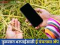 E Panchanama : नुकसानभरपाई एका आठवड्यात खात्यावर, आता नाशिकच्या शेतकऱ्यांसाठी ई-पंचनामा अँप  - Marathi News | Latest news E-Panchnama app will now be used in Nashik district to get compensation | Latest agriculture News at Lokmat.com