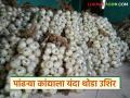 रायगडच्या प्रसिद्ध पांढऱ्या कांद्यासाठी पाहावी लागणार वाट; कधी होणार बाजारात आगमन? - Marathi News | We will have to wait for Raigad's famous white onion; When will it arrive in the market? | Latest agriculture News at Lokmat.com