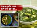 पालक आणि पनीर एकाचवेळी खाणं म्हणजे पोटाच्या कामात बिघाडच, खाण्यापूर्वी हे एकदा वाचा.. - Marathi News | Nutritionist Told Why Palak And Paneer Should Not Be Consumed Together | Latest sakhi News at Lokmat.com