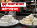 तुम्ही खाताय ते पनीर आहे की चीज अ‍ॅनालॉग? एकसारख्या दिसणाऱ्या या पदार्थांत नक्की काय आहे फरक? - Marathi News | Is that paneer you're eating or a cheese analogue? What exactly is the difference between these seemingly similar foods? | Latest agriculture News at Lokmat.com