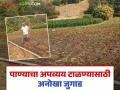 Agriculture News : डोंगर उतारावरील पिकांना दिलेले पाणी वाहून जात होत, 'या' शेतकऱ्याने काय केलं पहाच! - Marathi News | Latest news Agriculture flourished from wasted water, unique jugaad of farmer | Latest agriculture News at Lokmat.com