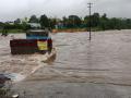 Maharashtra Rain Updates : उमरोली गावाचा संपर्क तुटला, गाढी नदीने धोक्याची पातळी ओलांडली - Marathi News | Maharashtra Rain Updates heavy rain in panvel and gadhi river overflow | Latest navi-mumbai News at Lokmat.com