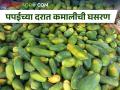 पपईला कोणी विचारेणा, थेट चार अन् पाच रुपयांवर भाव - Marathi News | Fall in papaya prices, Four rupees per kg in Jalgaon market yard | Latest agriculture News at Lokmat.com