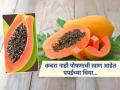 कचरा समजून फेकू नका पपईच्या बिया, इवल्याशा काळ्या बिया तब्येतीसाठी फार मोलाच्या.. - Marathi News | Health benefits of Papaya seeds, you should know | Latest sakhi News at Lokmat.com