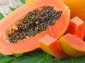 कचरा समजून फेकू नका पपईच्या बिया, इवल्याशा काळ्या बिया तब्येतीसाठी फार मोलाच्या.. - Marathi News | Health benefits of Papaya seeds, you should know | Latest sakhi News at Lokmat.com