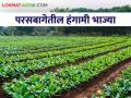 Gardening Tips : परसबागेसाठी कुठल्या भाज्यांची निवड करावी, जाणून घ्या सविस्तर  - Marathi News | Gardening Tips: Which vegetables to choose for the backyard, know and read in detail  | Latest agriculture News at Lokmat.com