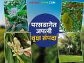 कोरड्याठाक मराठवाड्यात यशस्वी प्रयोग; कोकण अन् कश्मीरला टाकले मागे वाचा सविस्तर - Marathi News | latest news Successful experiment in dry Marathwada; Konkan and Kashmir left behind Read in detail | Latest agriculture News at Lokmat.com