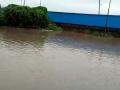 परभणीत पावसाची संततधार - Marathi News | Parbhani is the continuous rain | Latest parabhani Videos at Lokmat.com