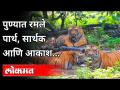 पुण्यात रमले पार्थ, सार्थक आणि आकाश | Rajiv Gandhi Zoological Park Pune | Pune News - Marathi News | Partha, Sarthak and Akash played in Pune Rajiv Gandhi Zoological Park Pune | Pune News | Latest pune Videos at Lokmat.com