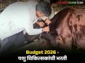 देशात 25 टक्के पशुवैद्यकीय डॉक्टरांची कमतरता, महाराष्ट्रात काय परिस्थिती, अर्थसंकल्पात महत्वाची घोषणा  - Marathi News | Latest News shortage of 25 percent veterinary doctors in india, important announcement in budget 2026 | Latest agriculture News at Lokmat.com