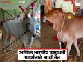 राज्यात १३ फेब्रुवारीपासून सर्वात मोठ्या पशुपक्षी प्रदर्शनाचे आयोजन; १ हजारहून अधिक पशुधनाचा समावेश - Marathi News | The state is organizing the largest livestock exhibition from February 13; More than 1,000 livestock will be included | Latest agriculture News at Lokmat.com