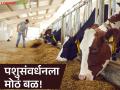 Pashu Sanavardhan : पशुवैद्यकीय रुग्णालयांचे श्रेणीवर्धन; आता जनावरांना मिळणार 'व्हीआयपी' उपचार वाचा सविस्तर - Marathi News | latest news Pashu Sanavardhan: Upgradation of veterinary hospitals; Now animals will get 'VIP' treatment Read in detail | Latest agriculture News at Lokmat.com