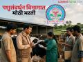 राज्यातील पशुसंवर्धन विभागात 'या' दोन पदांसाठी मोठी भरती; वाचा कधी होणार परीक्षा? - Marathi News | Big recruitment for these two posts in the state's animal husbandry department; Read when will the exam be held? | Latest agriculture News at Lokmat.com