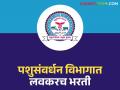 पशुसंवर्धन विभागात या पदासाठी मोठी भरती; २७९५ रिक्त पदे लवकरच भरणार - Marathi News | Big recruitment for this post in Animal Husbandry Department; 2795 vacant posts to be filled soon | Latest agriculture News at Lokmat.com