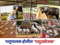 राज्यात पशुसंवर्धन विभागाची पुनर्रचना पशुपालकांना बनवेल पशुउद्योजक; वाचा सविस्तर - Marathi News | Reconstructing of the Animal Husbandry Department in the state farmers will make animal husbandry entrepreneurs; Read in detail | Latest agriculture News at Lokmat.com